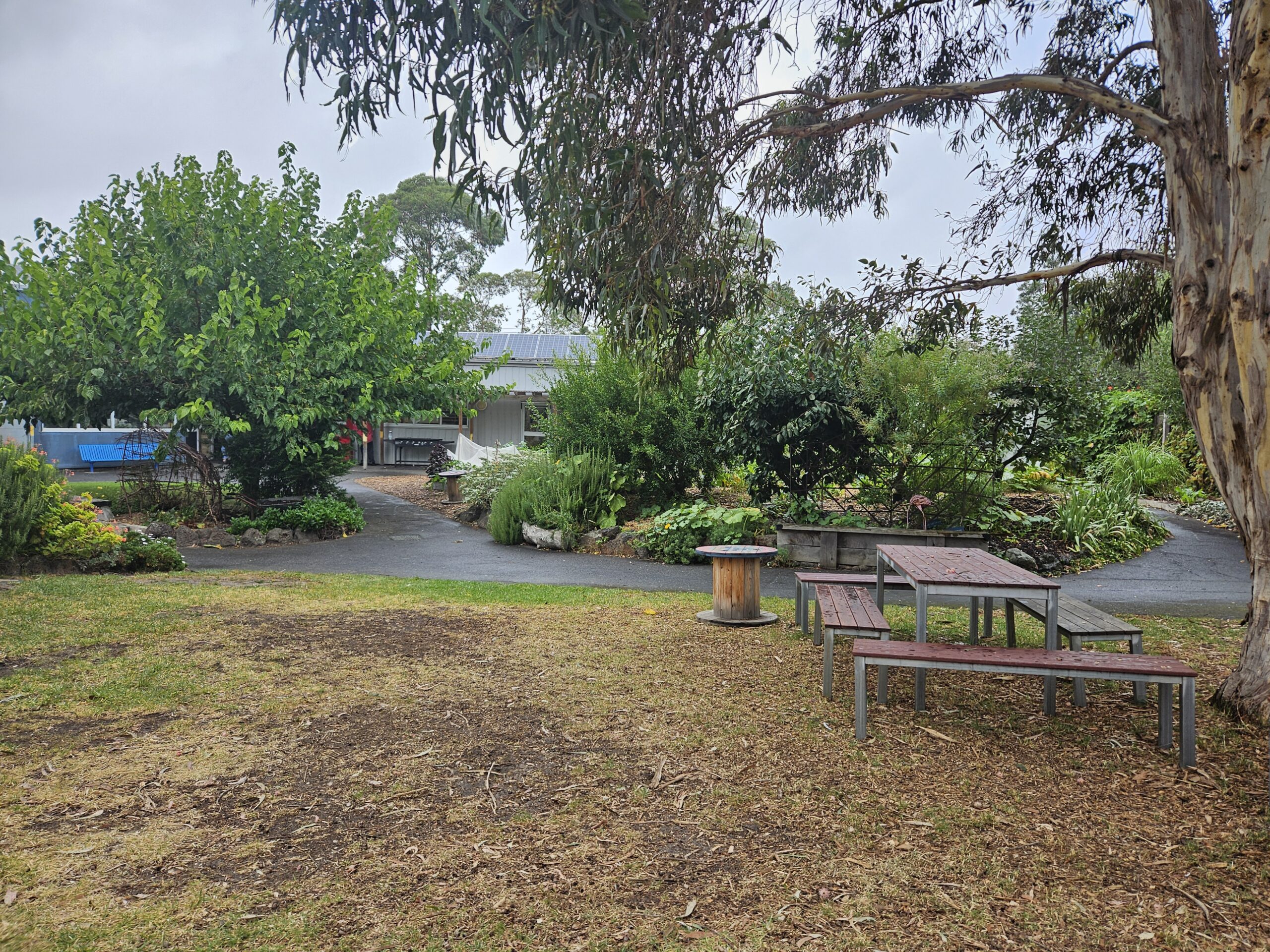 Photo of a garden with trees, garden beds and table and chairs